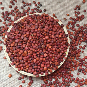 内丘县创胜邢枣仁购销有限公司